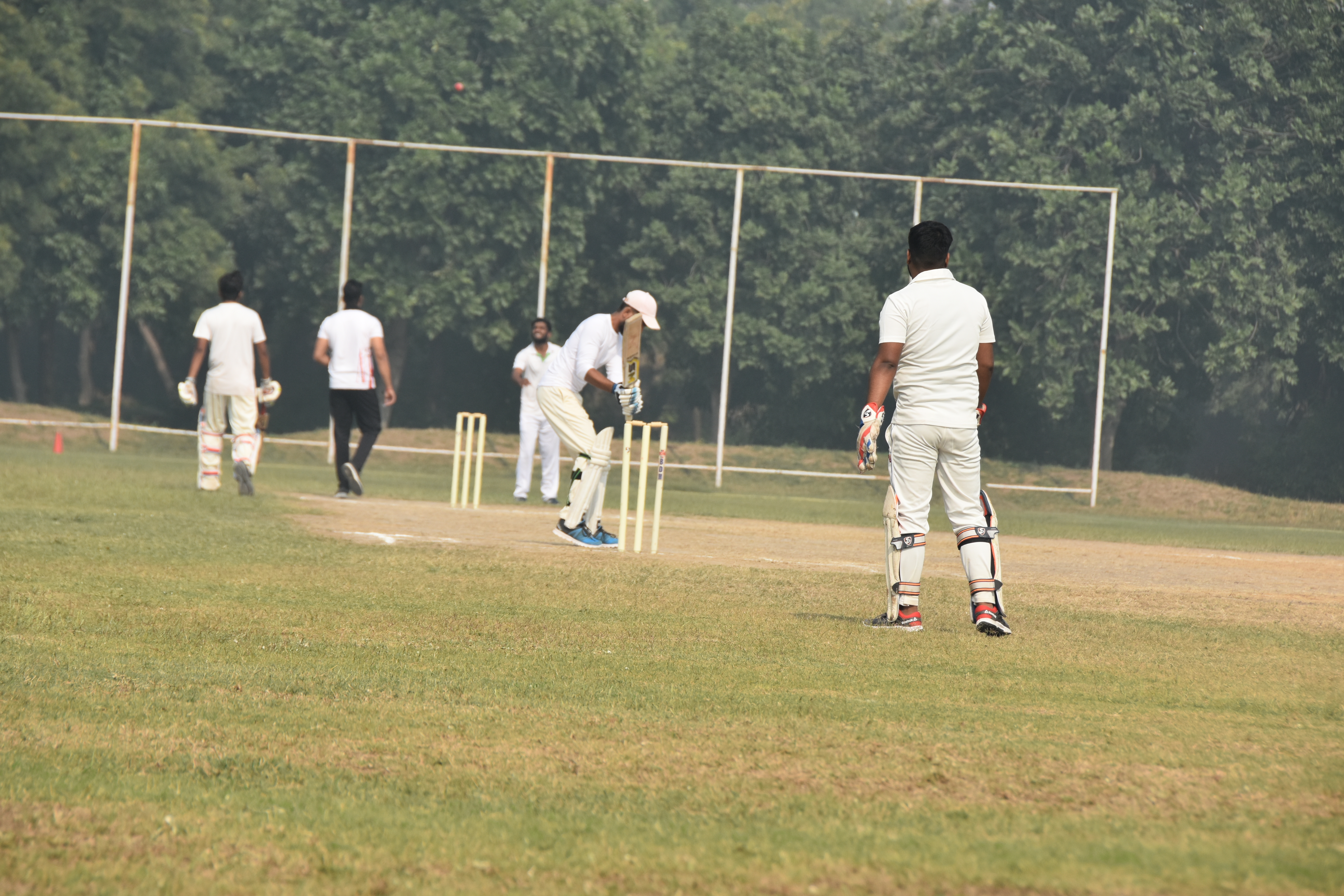 Cricket in action
