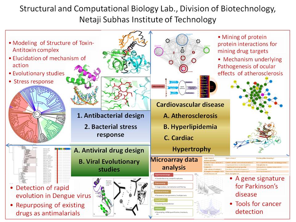 Computational Biology Laboratory